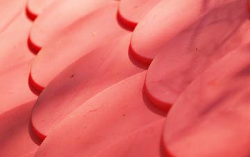 East Balmirmer plastic roof costs